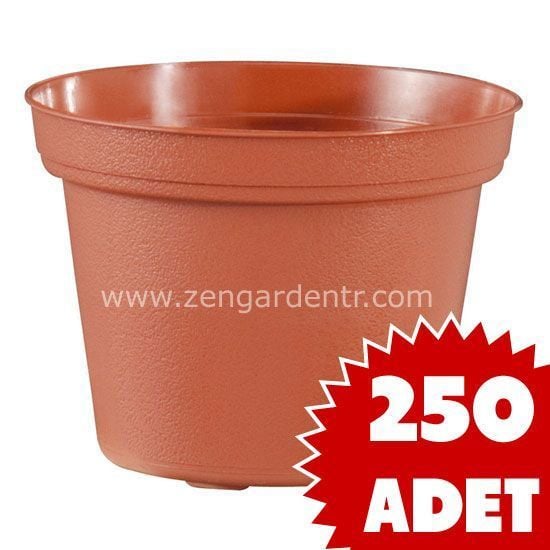 Teku kaktüs sukulent saksısı 5,5 cm 250 adet