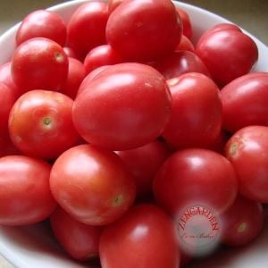 Sıcağa dayanıklı domates tohumu geleneksel porter tomato