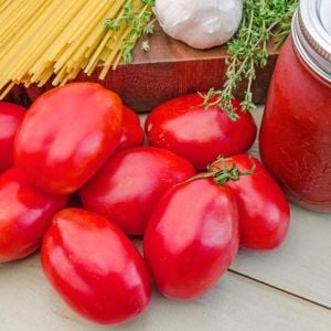 Salçalık domates tohumu geleneksel amish paste tomato