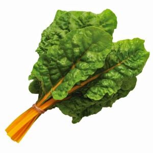 Parlak Sarı saplı pazı tohumu canary swiss chard