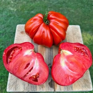 Yürek domates tohumu geleneksel italyan cuor di bue tomato