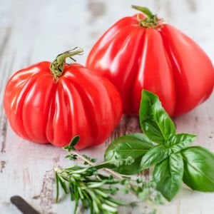 Yürek domates tohumu geleneksel italyan cuor di bue tomato