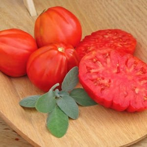 Yürek domates tohumu geleneksel italyan cuor di bue tomato