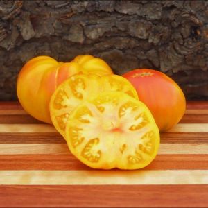 Oaxacan domates tohumu geleneksel oaxacan jewel tomato