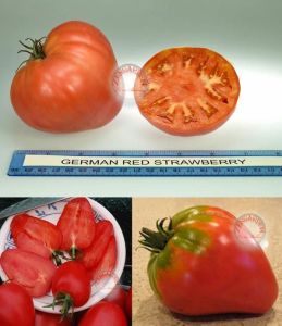 Çilek domates tohumu geleneksel german red strawberry tomato