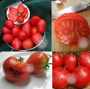 Çilek domates tohumu geleneksel german red strawberry tomato