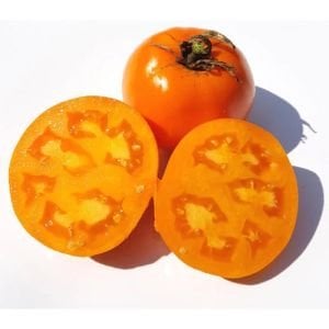 Nebraska düğünü domates tohumu geleneksel nebraska wedding tomato