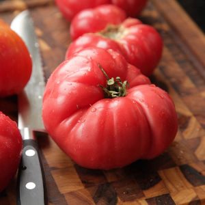 Pembe domates tohumu geleneksel pink brandywine tomato