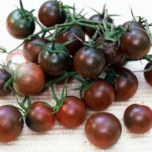 Siyah salkım domates tohumu geleneksel pure black cherry tomato