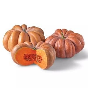 Musquee de provence Fransız balkabağı tohumu