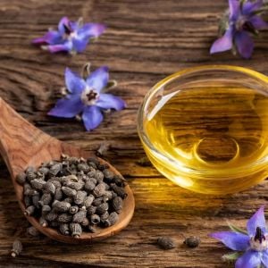Hodan otu tohumu borage borago officinalis