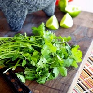 Şifalı kişniş tohumu cilantro coriandrum sativum