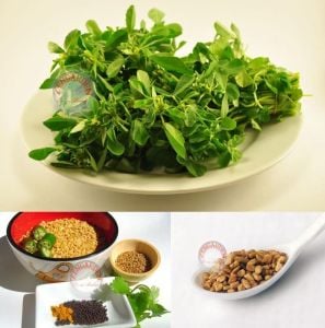 Çemenotu tohumu şifalı çemen otu fenugreek seeds