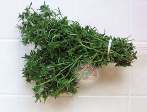 Zahter tohumu sater otu yaz zahteri satureja hortensis afrodizyak