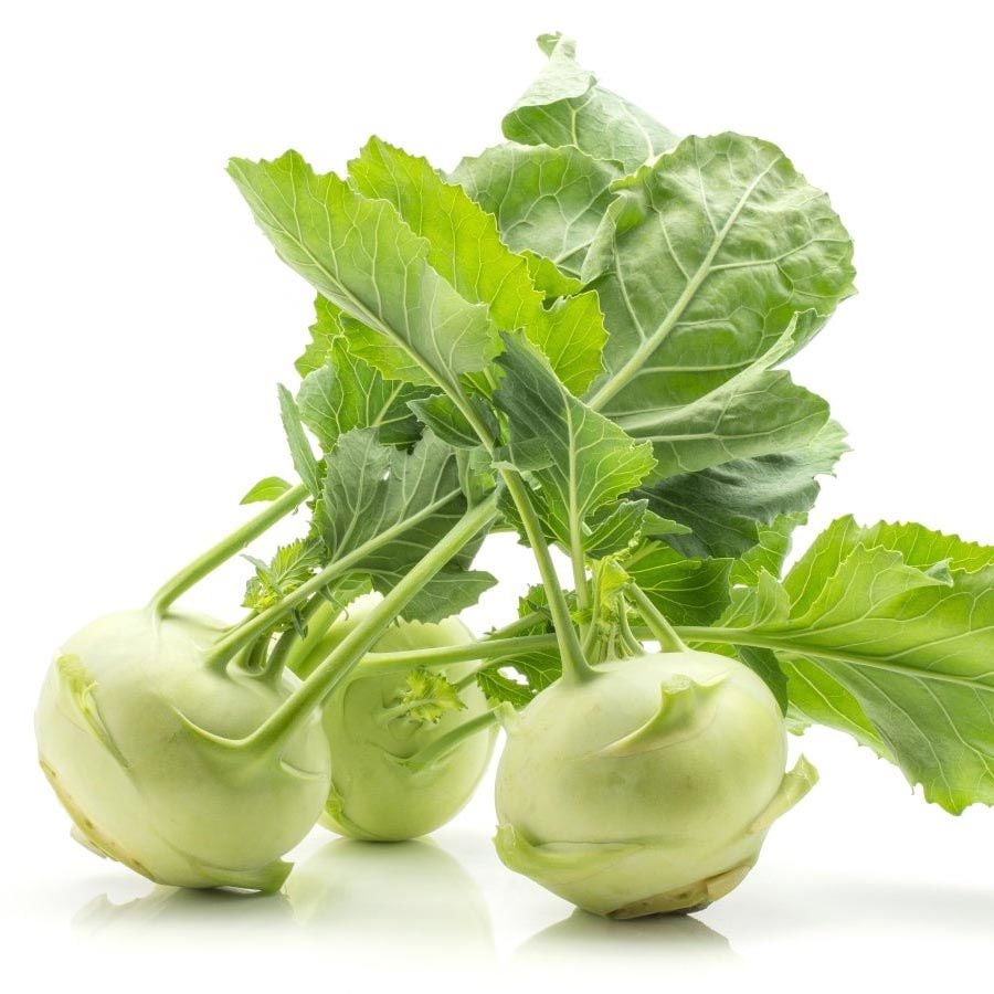 Beyaz kohlrabi tohumu erkenci atalık alabaş