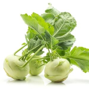 Beyaz kohlrabi tohumu erkenci atalık alabaş