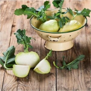 Beyaz kohlrabi tohumu erkenci atalık alabaş