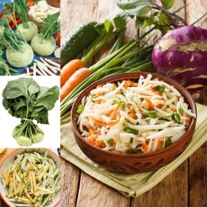 Beyaz kohlrabi tohumu erkenci atalık alabaş