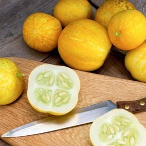 Limon salatalık tohumu atalık cucumber lemon