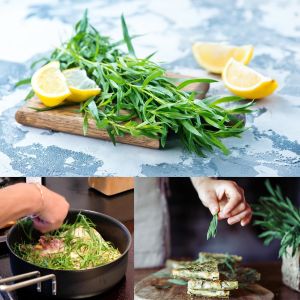 Tarhun otu tohumu tarragon artemisia dracunculus estragon
