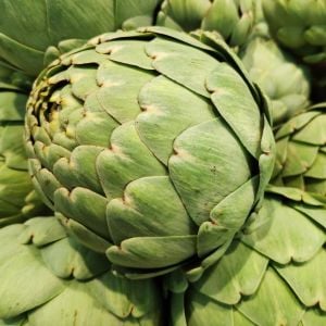 Yeşil enginar tohumu atalık artichoke green globe