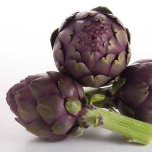 Mor enginar tohumu artichoke purple romagna