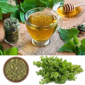 Isırgan otu tohumu şifalı ve lezzetli urtica dioica
