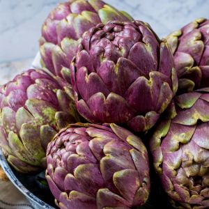 Mor enginar tohumu artichoke purple romagna
