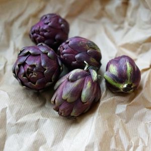 Mor enginar tohumu artichoke purple romagna