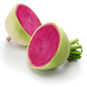 Karpuz turp tohumu atalık radish watermelon