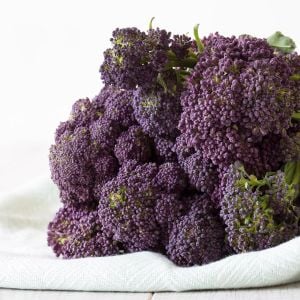 Mor brokoli tohumu Atalık broccoli purple