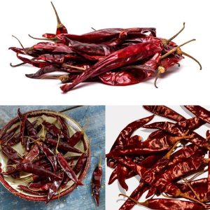 Acı puya chili biber tohumu ciddi acı