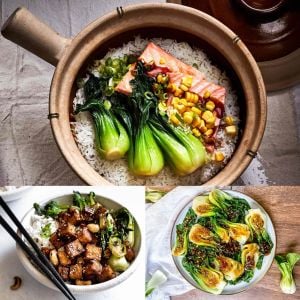 Pak choi tohumu shanghai bebek yaprak