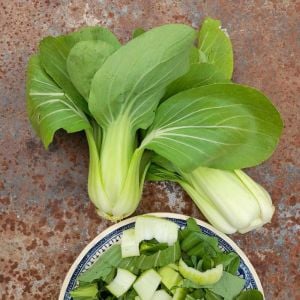 Pak choi tohumu shanghai bebek yaprak