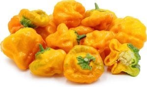 Turuncu mantar biber tohumu jamaican orange bishops cap