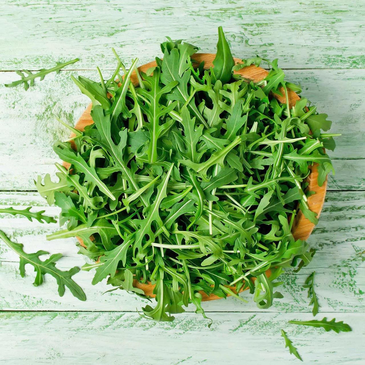 Baharlı yabani roka tohumu çok yıllık bitki