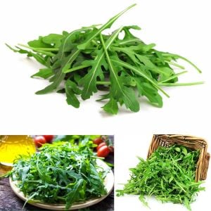 Baharlı yabani roka tohumu çok yıllık bitki