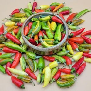 Alacalı balık biberi tohumu fish pepper