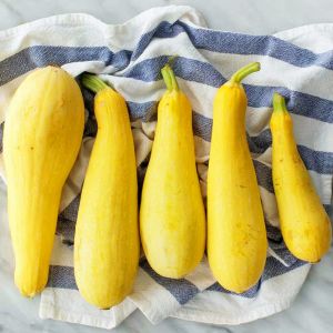 Erkenci sarı kabak tohumu geleneksel yellow straightneck squash
