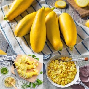 Erkenci sarı kabak tohumu geleneksel yellow straightneck squash