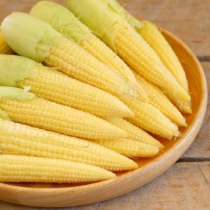 Süt mısır tohumu atalık mini baby corn