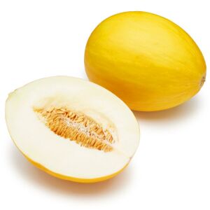 Sarı kavun tohumu geleneksel canary melon seeds heirloom
