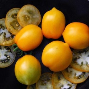 Sarı limon domates tohumu geleneksel heirloom plum lemon tomato