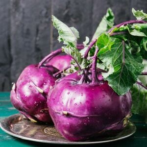 Mor kohlrabi tohumu geleneksel mor alabaş purple vienna