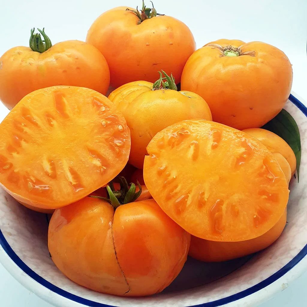 Amana turuncu domates tohumu turuncu renkli amana orange tomato seeds