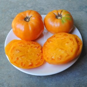 Amana turuncu domates tohumu turuncu renkli amana orange tomato seeds