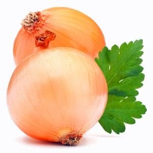 Tatlı ispanyol soğan tohumu geleneksel onion sweet spanish yellow