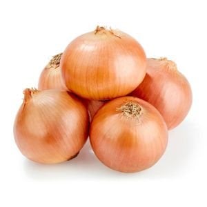 Tatlı ispanyol soğan tohumu geleneksel onion sweet spanish yellow