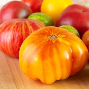 Hillbilly domatesi tohumu geleneksel hillbilly flame tomato seeds