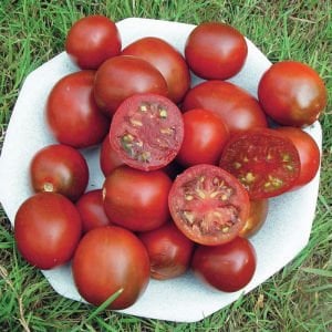 Kara prens domates tohumu geleneksel black prince tomato seeds